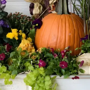 Brenda Pender Estate Garden Tour